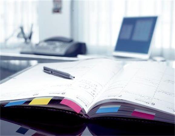 Chip Develop Ineo 220/280/360 IU yellow 55K